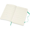 Еженедельник MOLESKINE CLASSIC WKLY POCKET (мятный) DSK4612WN2